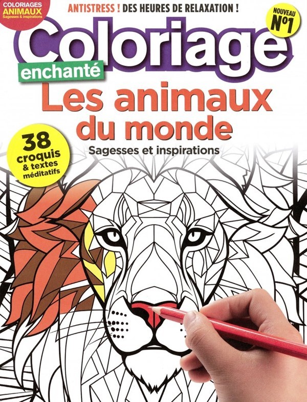COLORIAGE ENCHANTE